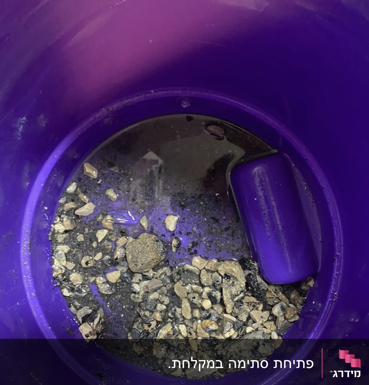 דלי סגול עם מים ואבנים בתחתית